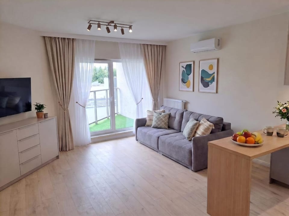 TV and multimedia, Seating area, Evening entertainment, air conditioner