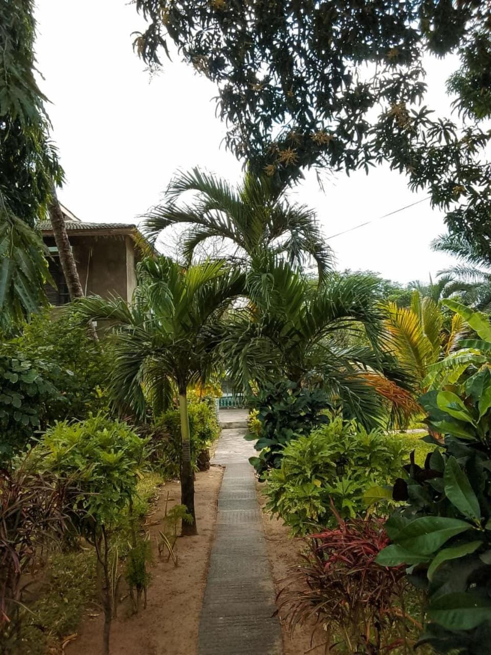 Serene Pool Villa Apartment in Malindi