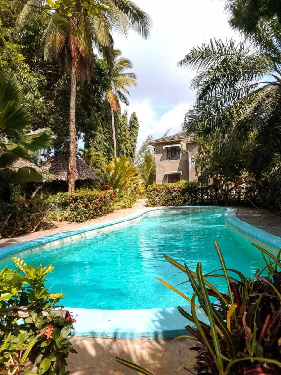 Serene Pool Villa Apartment in Malindi