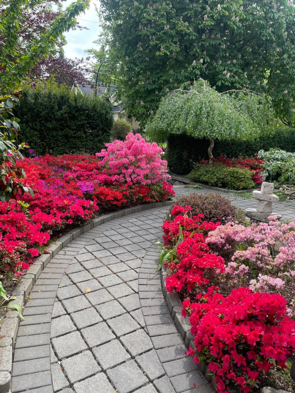 Garden view