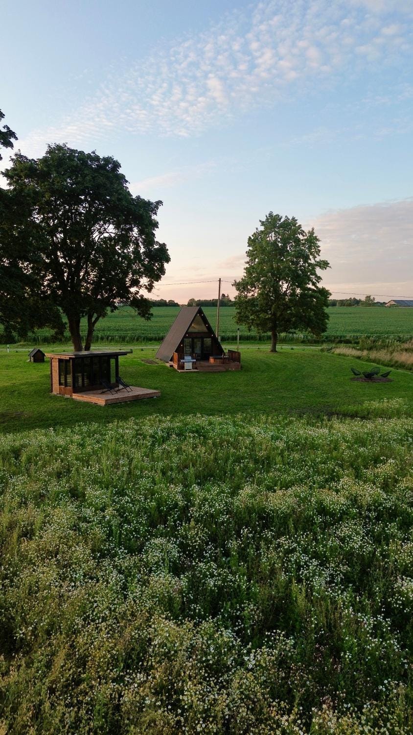 Day, Natural landscape, Garden, Garden view