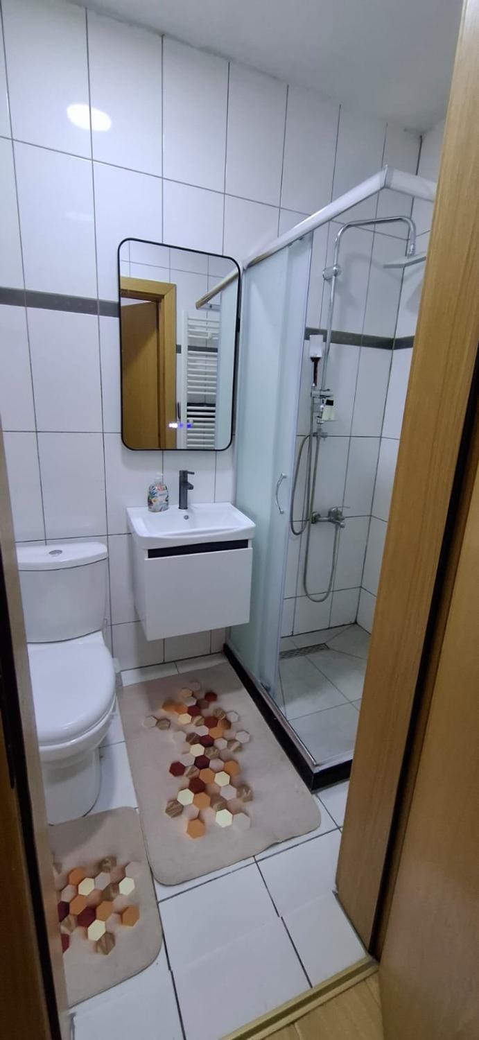 Packi Apartments 4 Apartment in Europe
