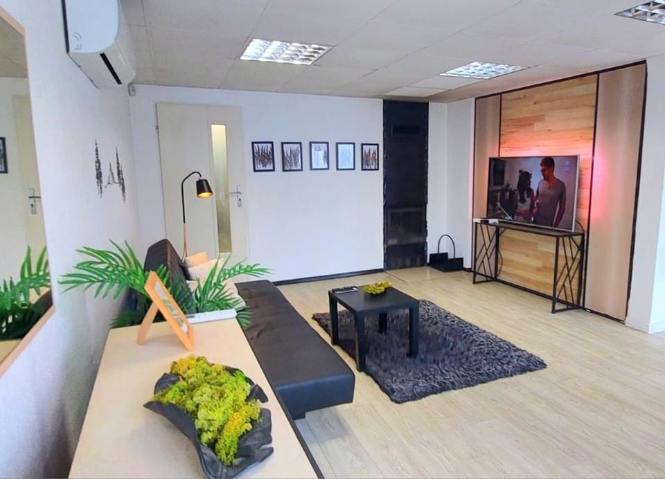 Izerapart Centrum blisko Świeradowa-Zdrój Apartment in Lower Silesian Voivodeship
