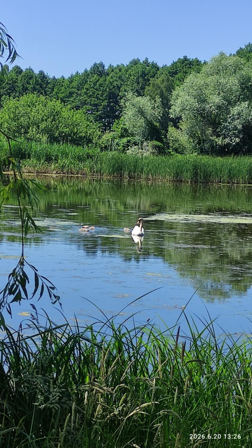 Zielony Anioł nad Stawami, Poleski Park Narodowy House in Poland