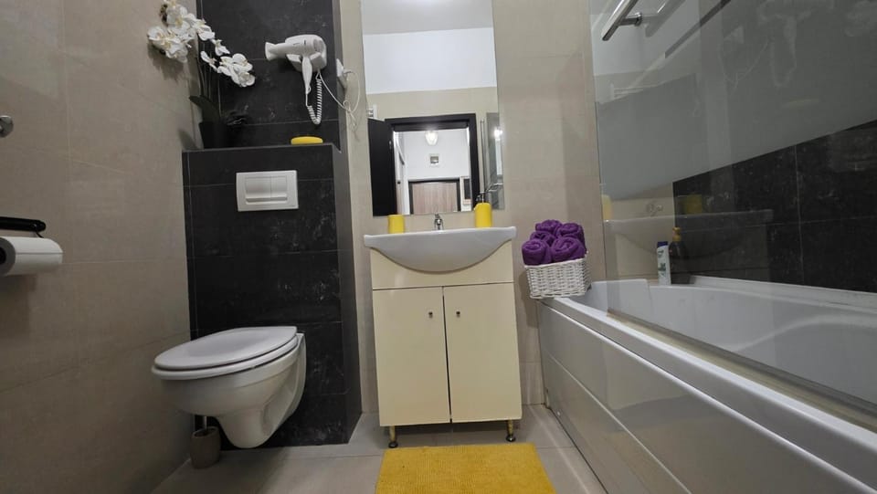 Downtown Chic Family Retreat near Palas Mall Apartment in Romania