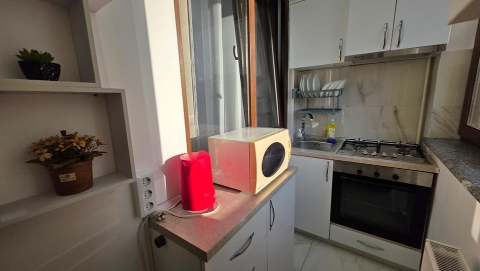 Downtown Chic Family Retreat near Palas Mall Apartment in Romania