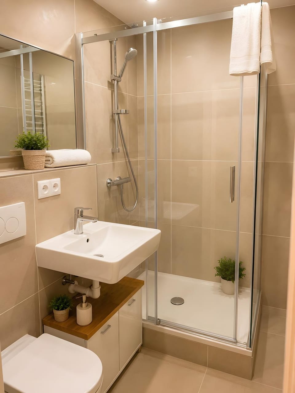 Bathroom, Living room