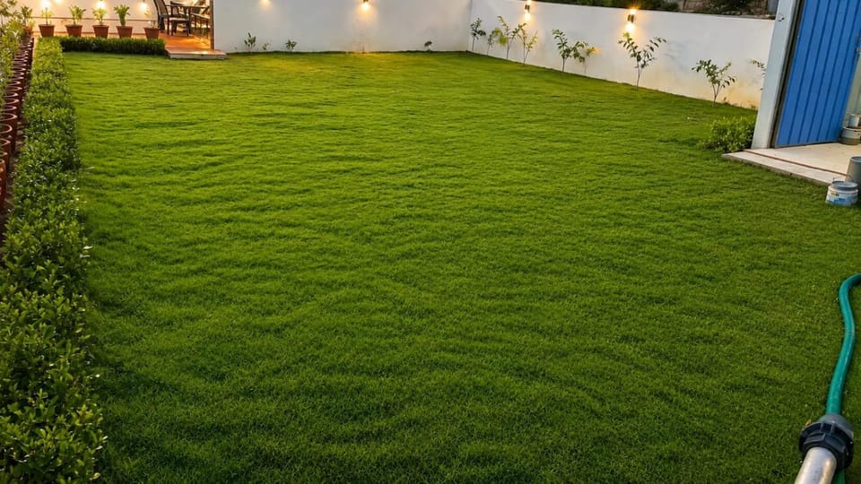 The Classic Family Pool Villa in Rajasthan
