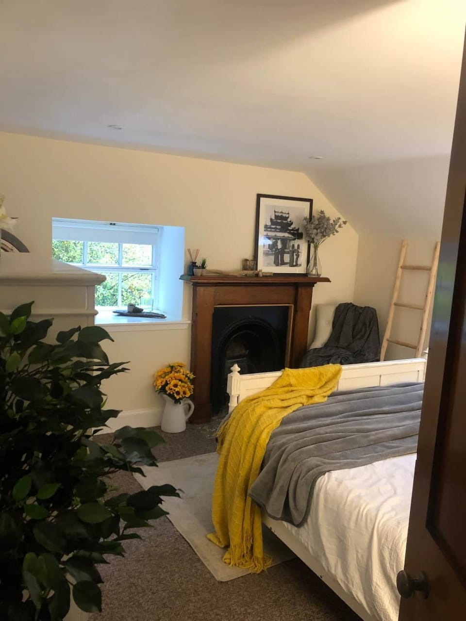 Pet-Friendly Woodland Escape, 30 acres, Turriff. House in Scotland