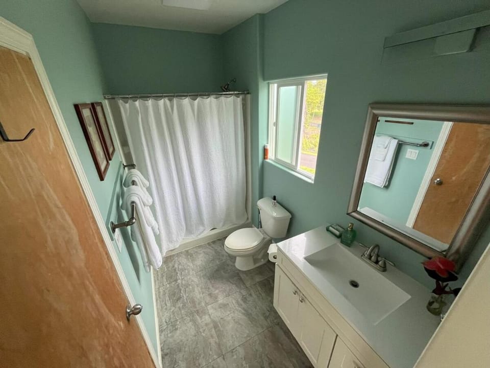 1BR, 1Bath, Full Kitchen, Guest Suite Apartment in Honaunau-Napoopoo