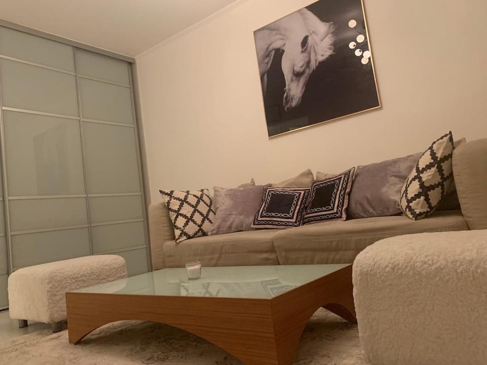 Stylish White Apartment 10 Apartment in Skopje