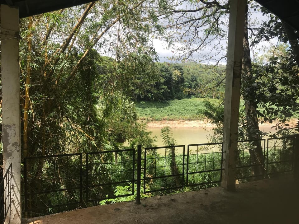 Natural landscape, Garden, Garden view