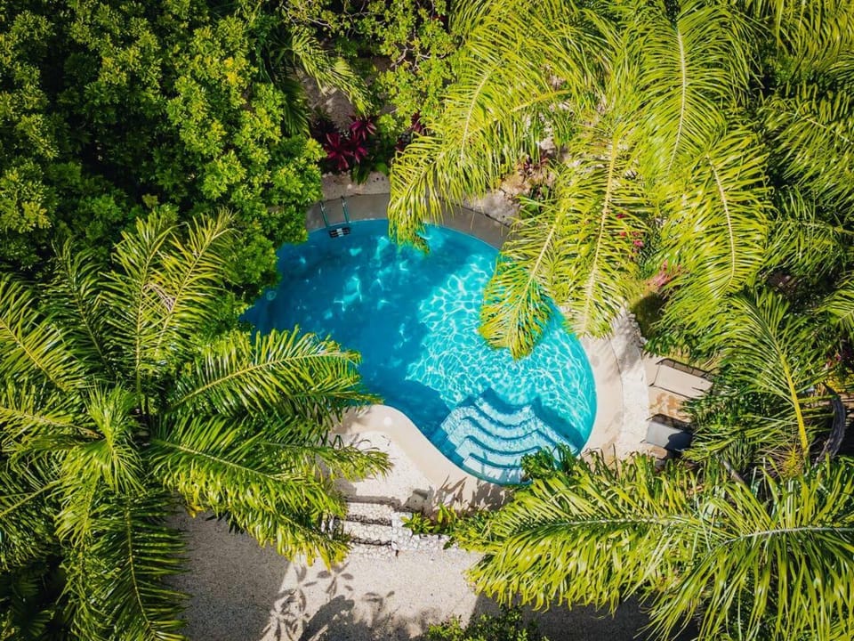 Day, Garden, Swimming pool