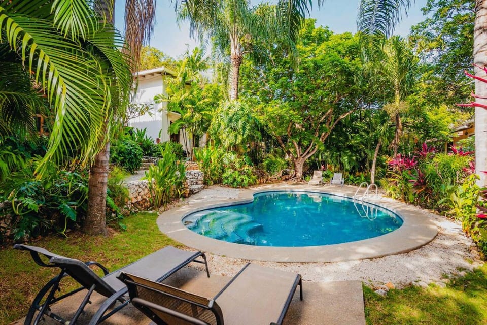 Patio, Garden, Garden view, Swimming pool