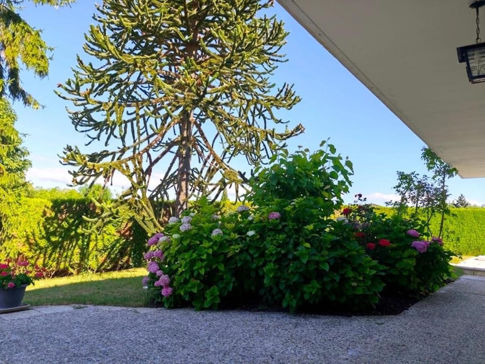 Garden view