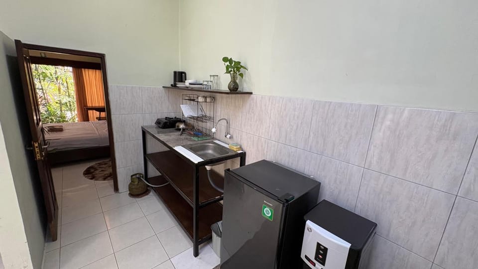 Kitchen or kitchenette, Bedroom