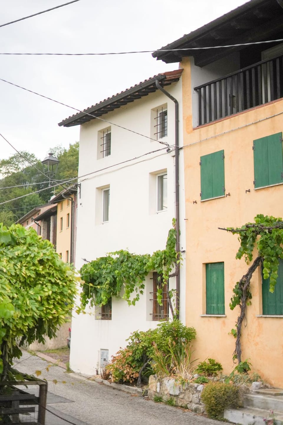 Property building, Day, Neighbourhood, Street view