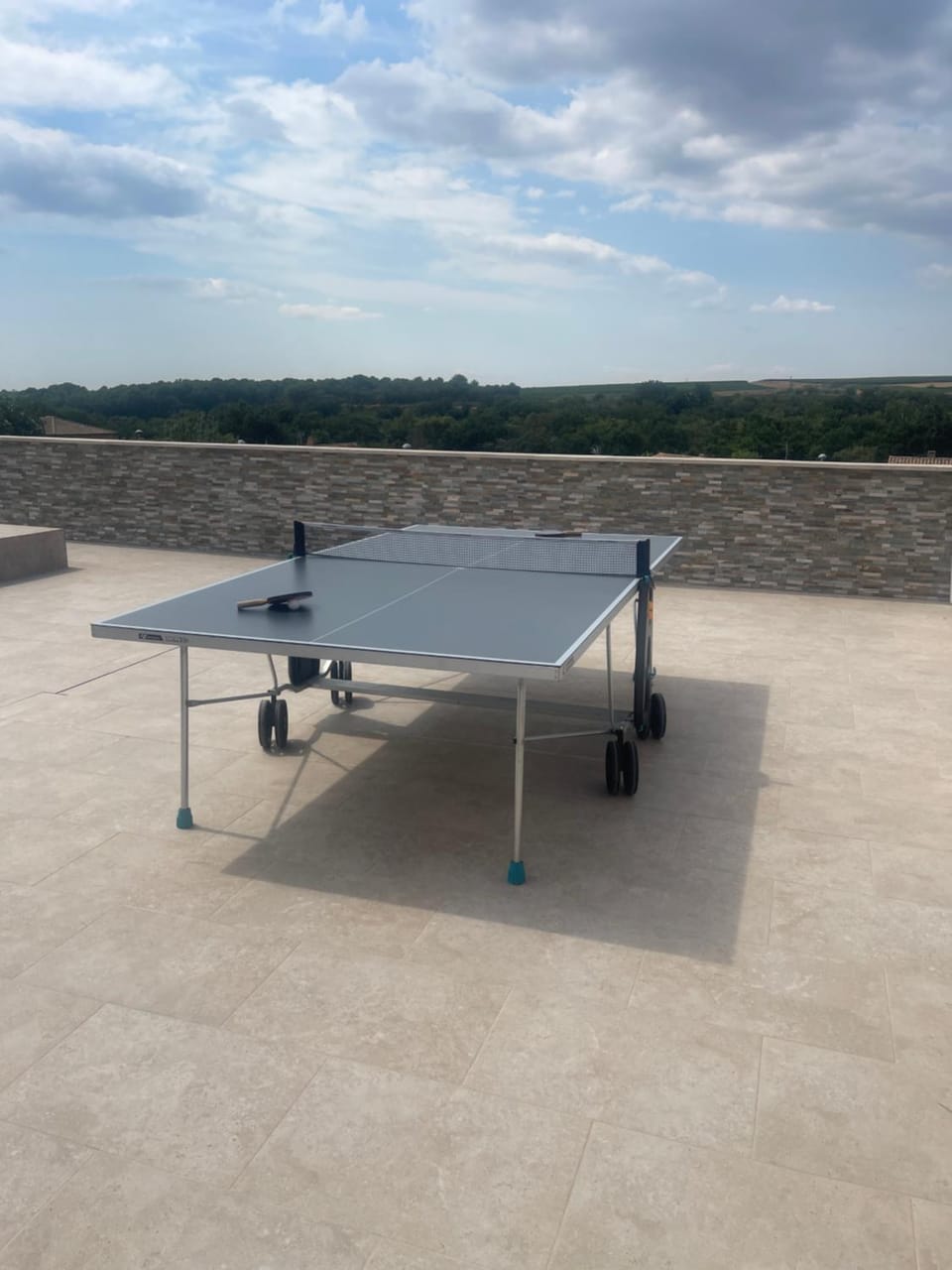 Table tennis