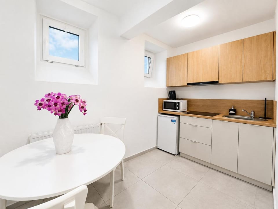 Smart Studio Arts Apartment in Krakow