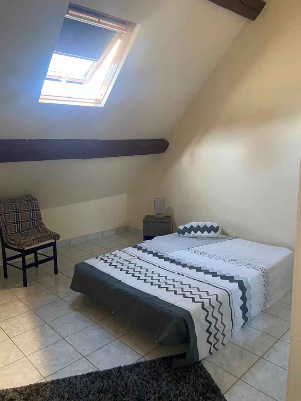 Les Lions Apartment in Blois