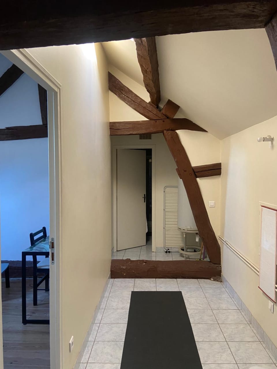 Les Lions Apartment in Blois