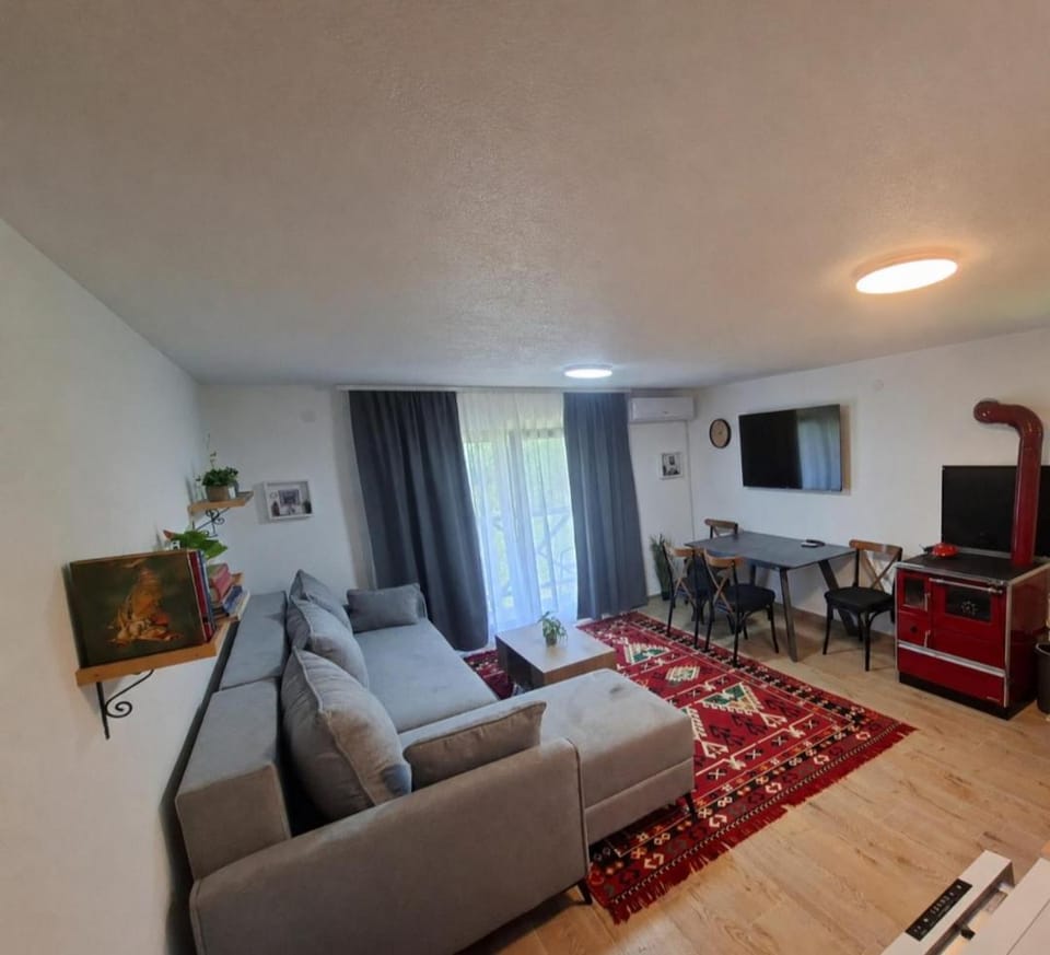 Catch and Rest Lodge Ribnik Apartment in Bosnia and Herzegovina
