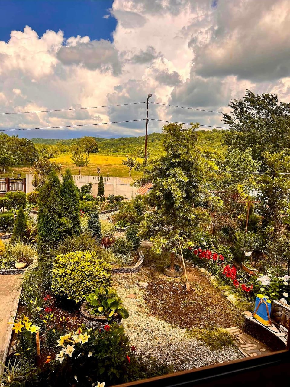 Garden view
