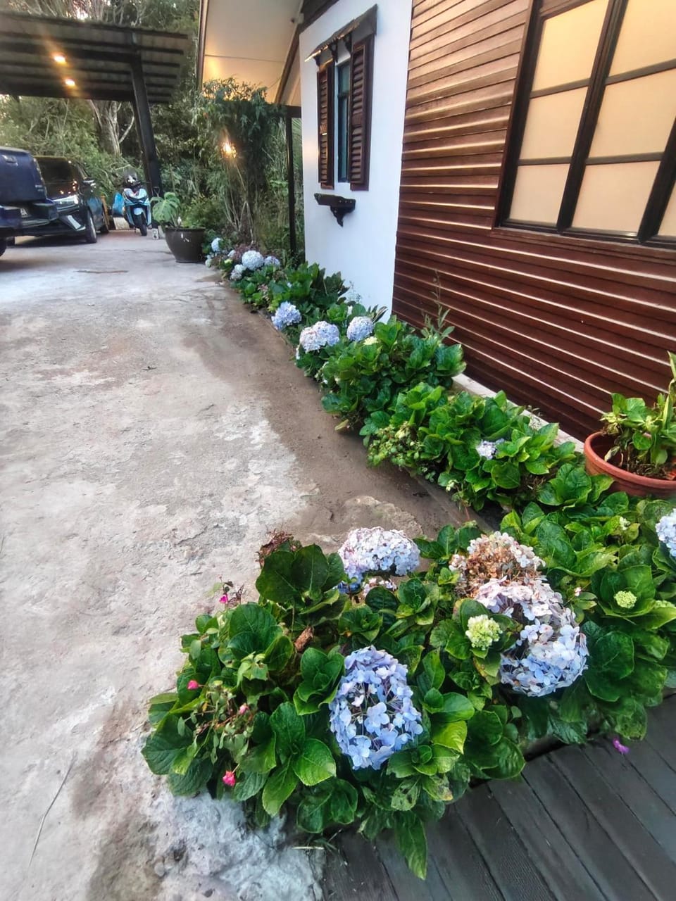Property building, Garden