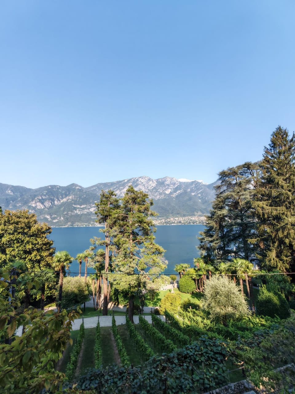 Lake view