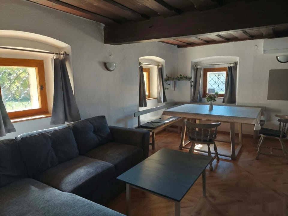 Dvorje Vintage Homestead Apartment in Slovenia
