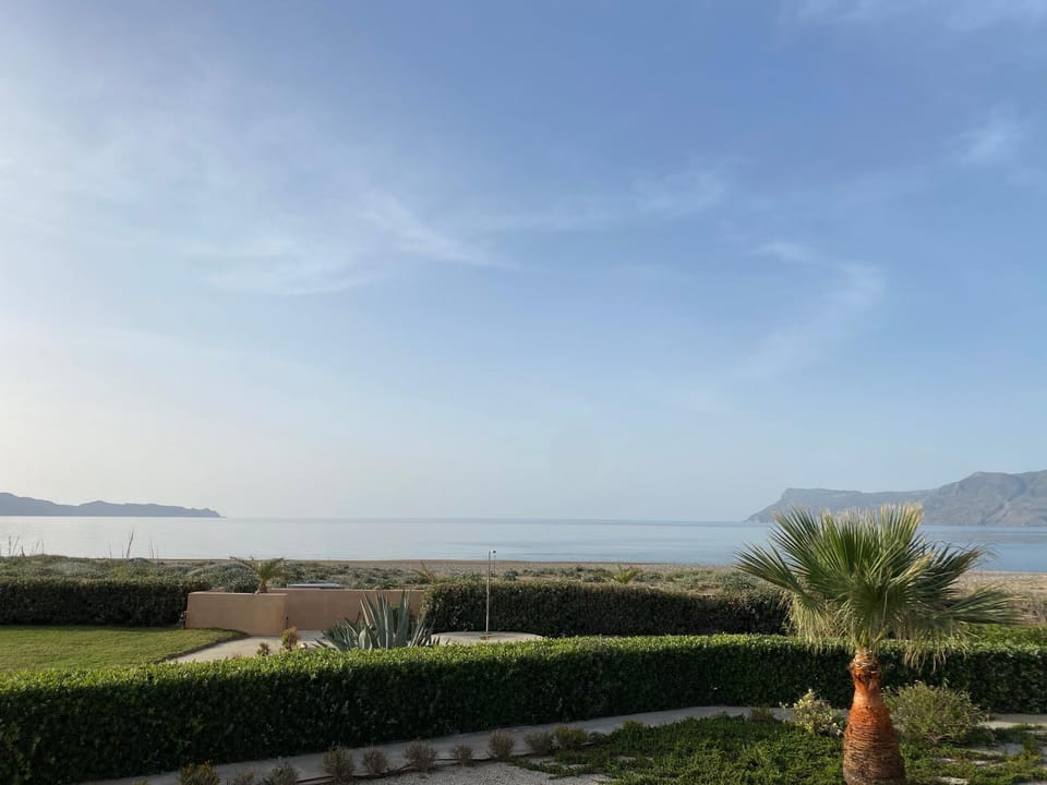 Natural landscape, Garden, Garden, Sea view