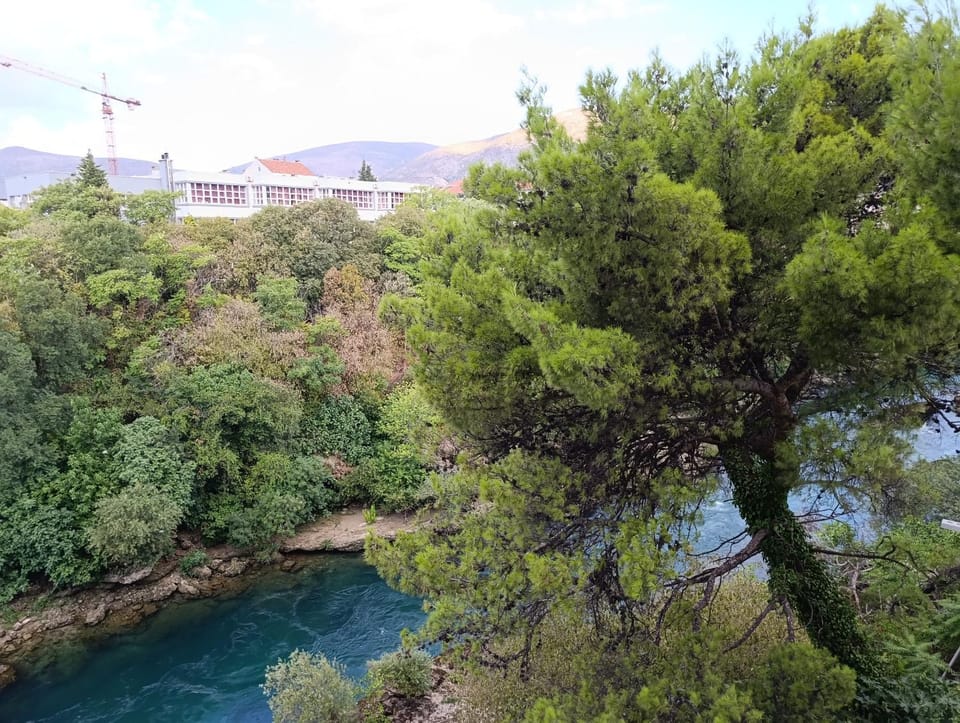 Natural landscape, River view
