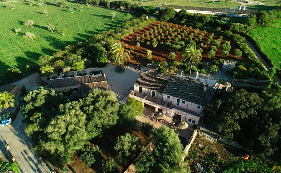 Spring, Bird's eye view, View (from property/room), On site, Garden view