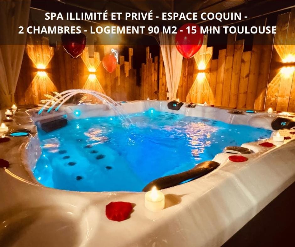 Loveroom Chic avec Piscine - SPA - 15 min deToulouse House in Occitanie