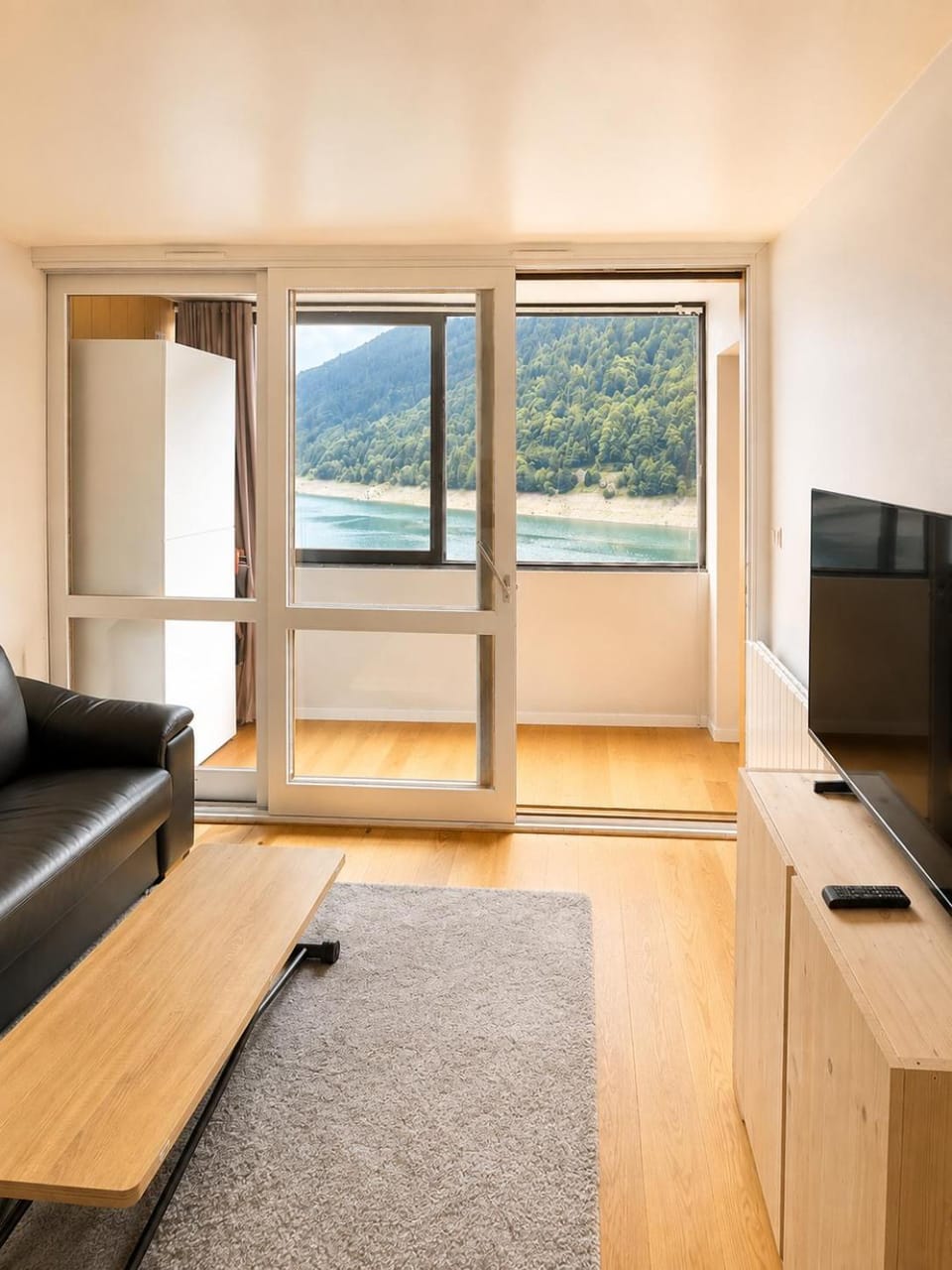 Charmant appartement T2 avec coin montagne vue lac Apartment in Nouvelle-Aquitaine
