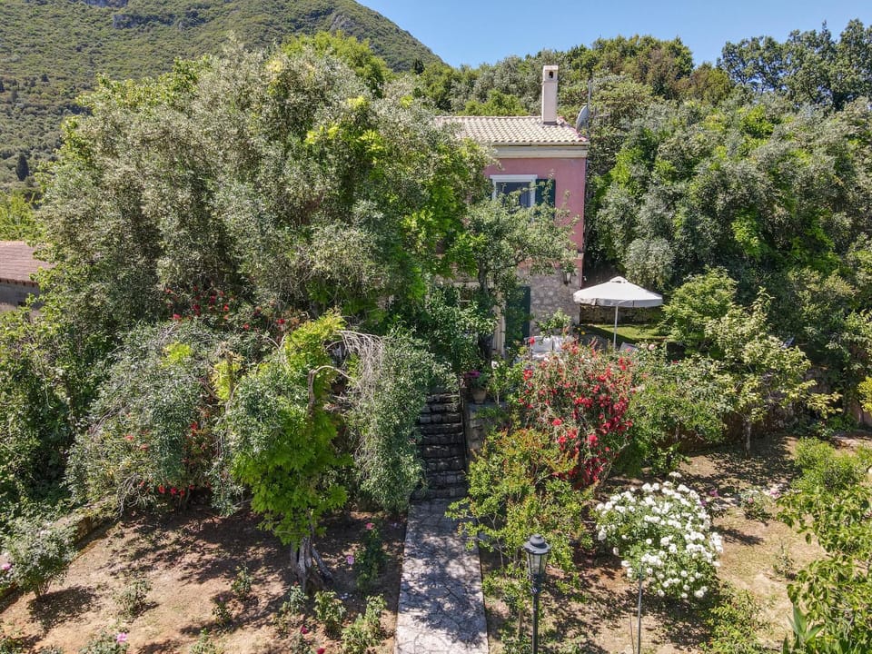 Property building, Garden, Garden view