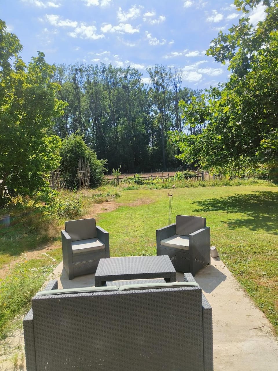Spring, Natural landscape, Garden, Garden view