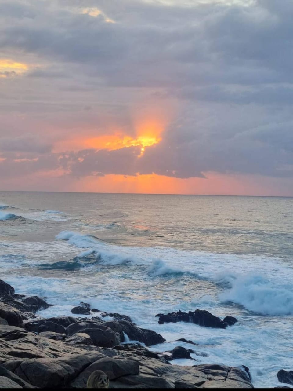 Sunrise