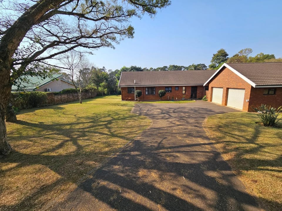 Day, Garden, Garden view