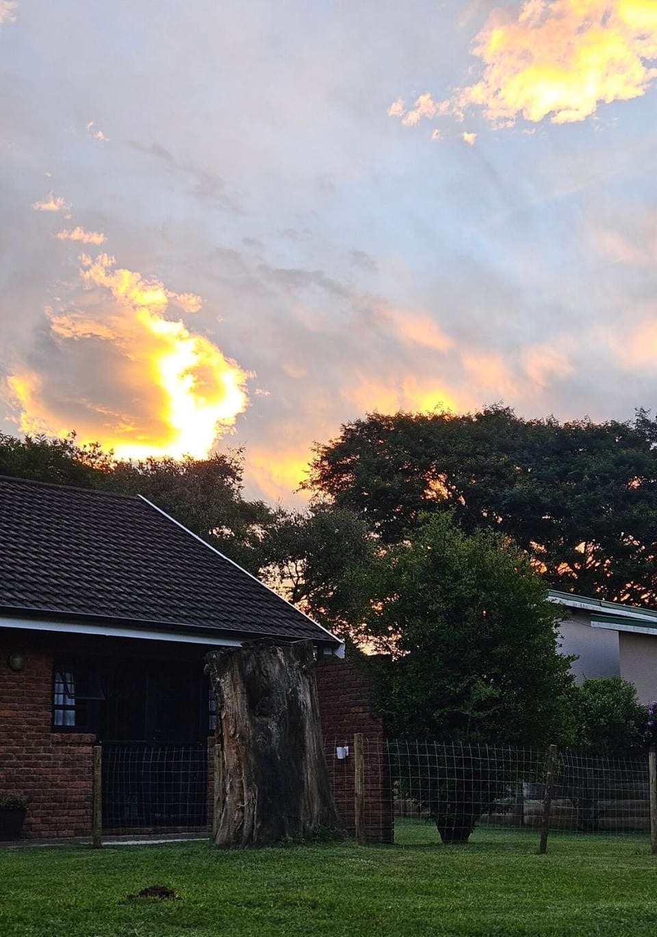Natural landscape, Garden, Garden view, Sunset