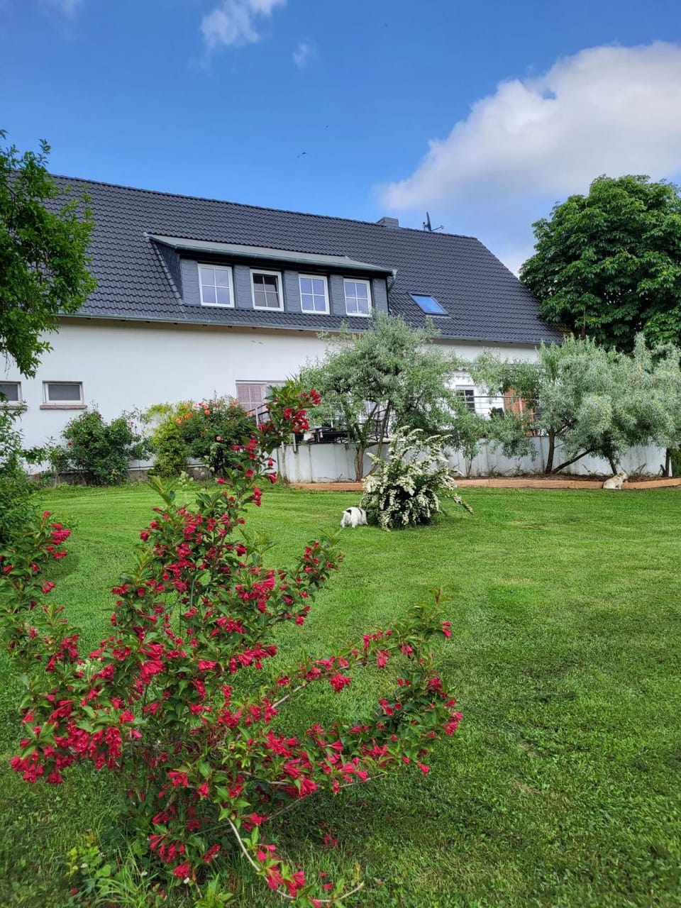 Garden view
