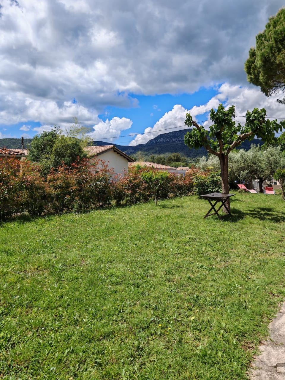 Garden view