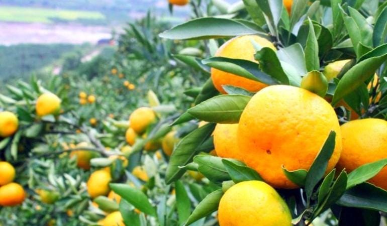 Holiday Home Paul House in Dubrovnik-Neretva County