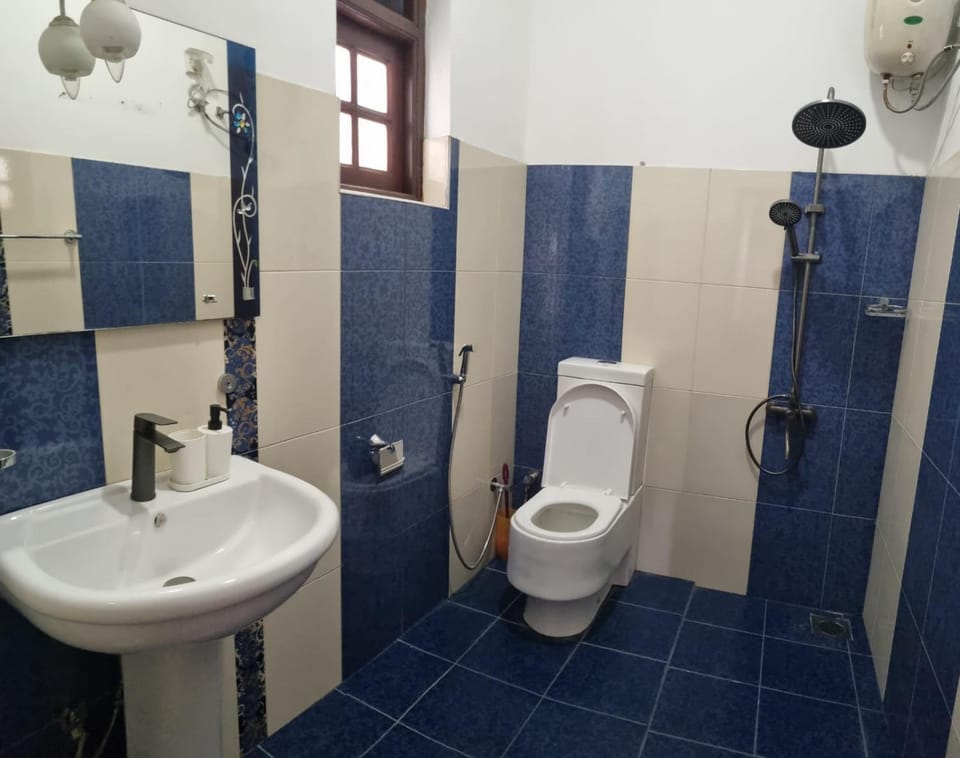 Shower, Toilet, Bathroom, bidet
