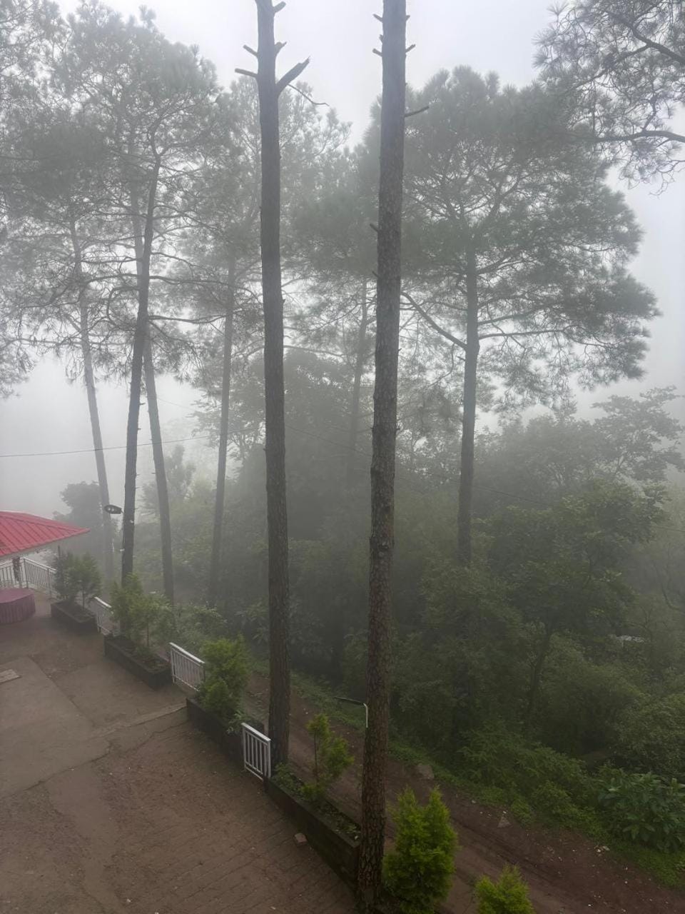 Jungle Holiday Home 3Bhk senic Apartment Apartment in Himachal Pradesh