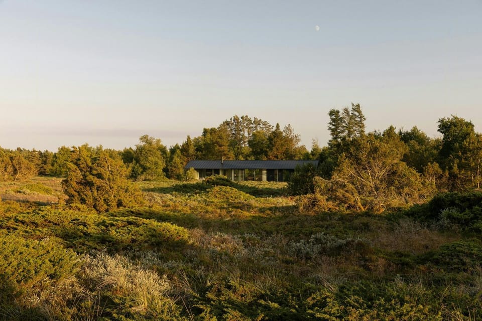 Natural landscape