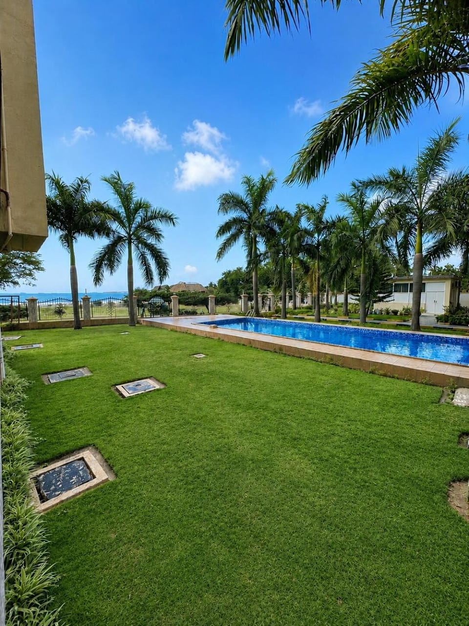 Garden, Garden view, Pool view, Swimming pool, sunbed