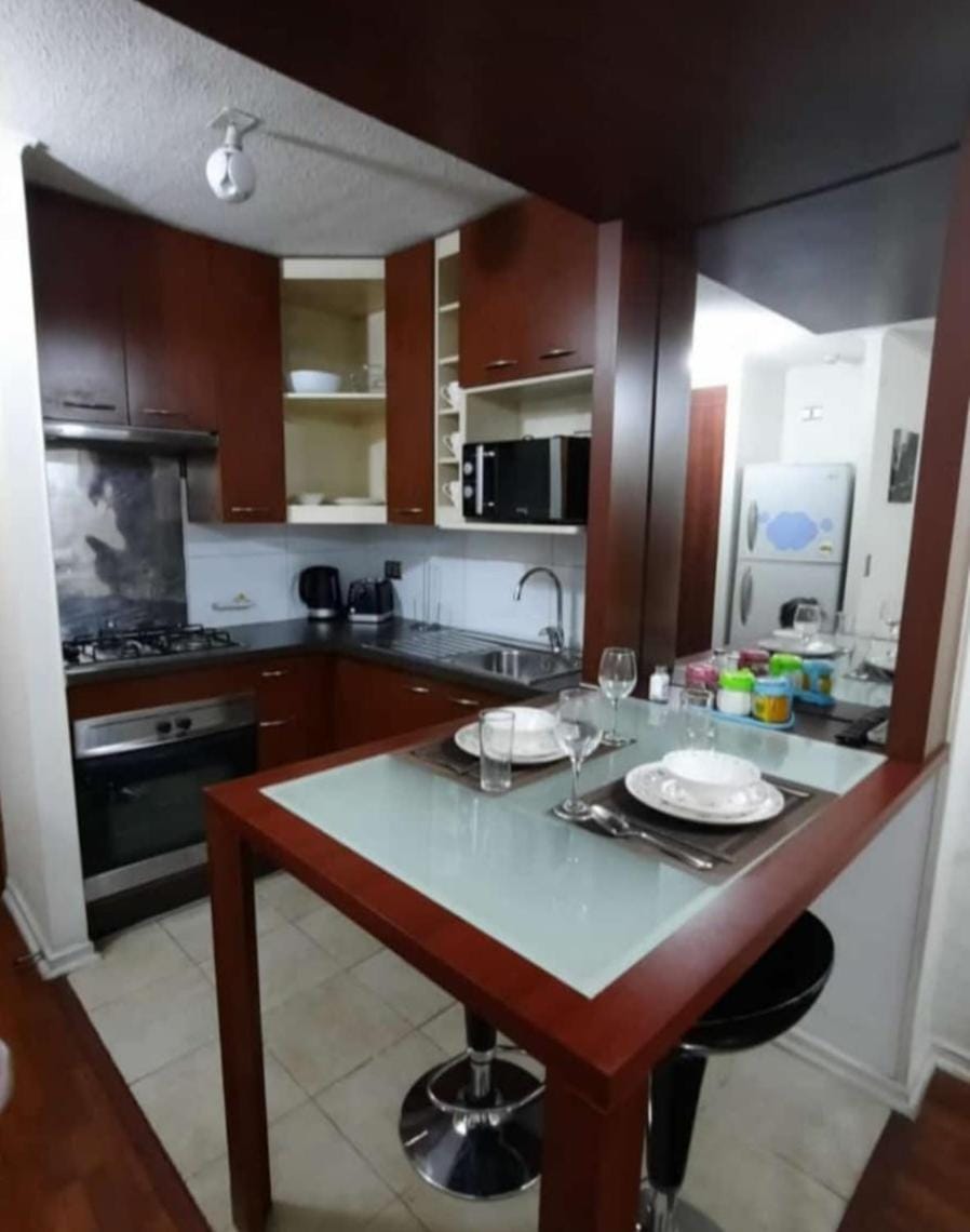 Infinito Aparts 562 Apartment in Santiago