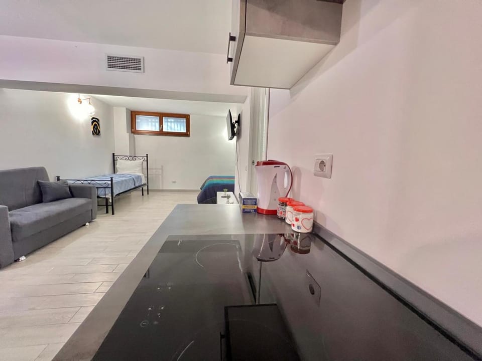 Bed, TV and multimedia, Kitchen or kitchenette, Living room, Photo of the whole room, Seating area, Dining area, Bedroom
