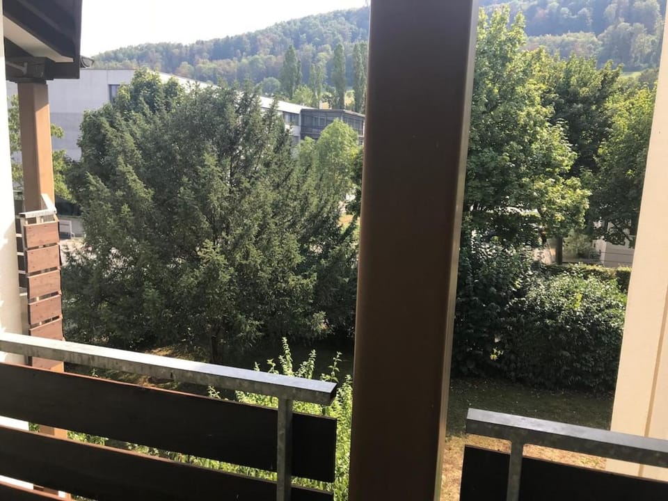 Kurhauspark Ferienwohnungen cozy 2 room apartment Apartment in Aargau, Switzerland